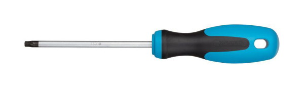 Hazet skrutkovač, vnútorný profil TORX®, T30, 810-T30
